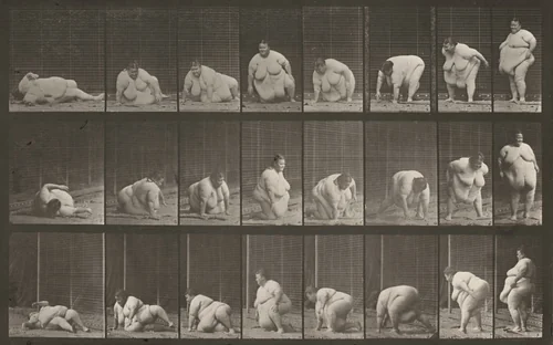 Plate Number 268. Arising from the ground by Eadweard Muybridge, photograph, 1887