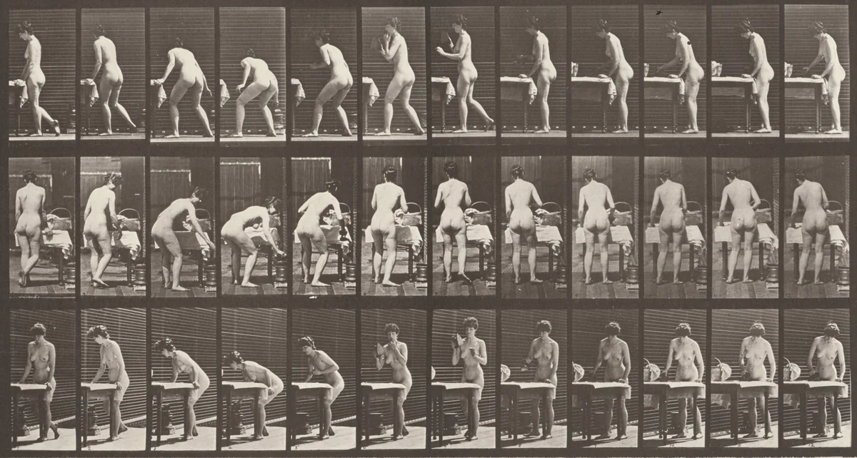Plate Number 435. Ironing clothes by Eadweard Muybridge, photograph, 1887
