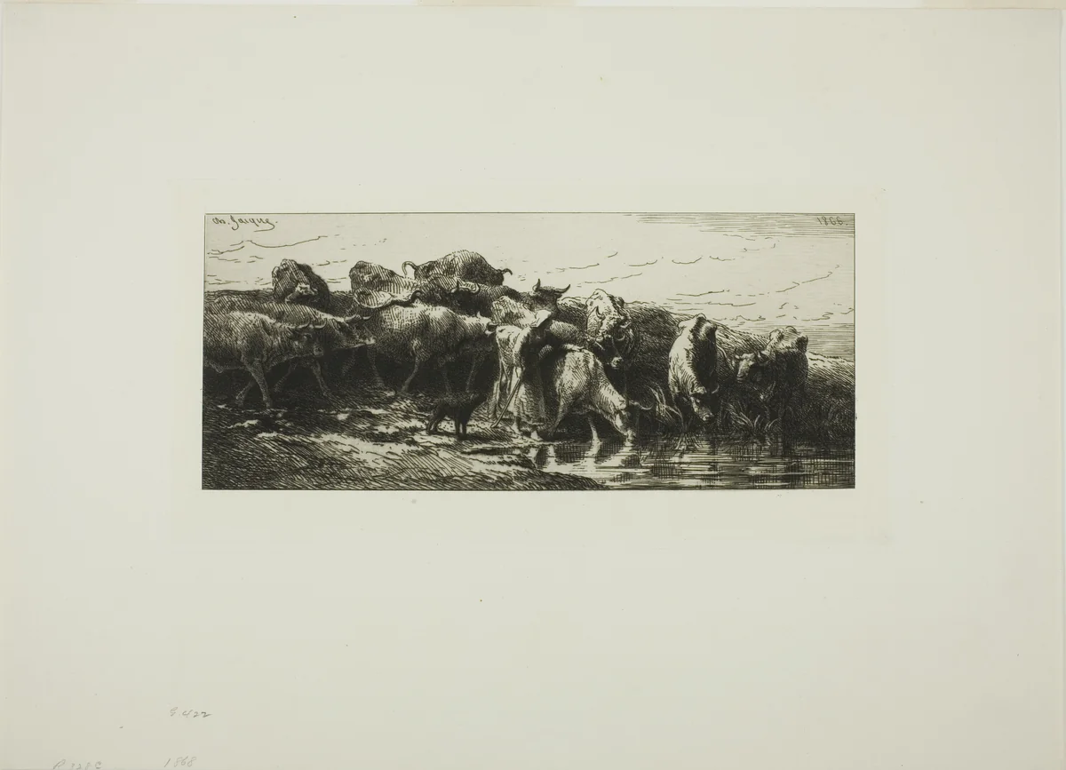 Cows Drinking from the River by Charles-Émile Jacque, print, 1878