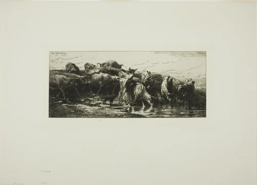 Cows Drinking from the River by Charles-Émile Jacque, print, 1878