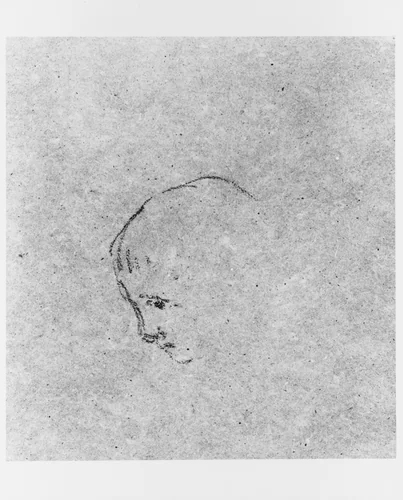 Head of a Boy by James McNeill Whistler, artwork, 1834-1903