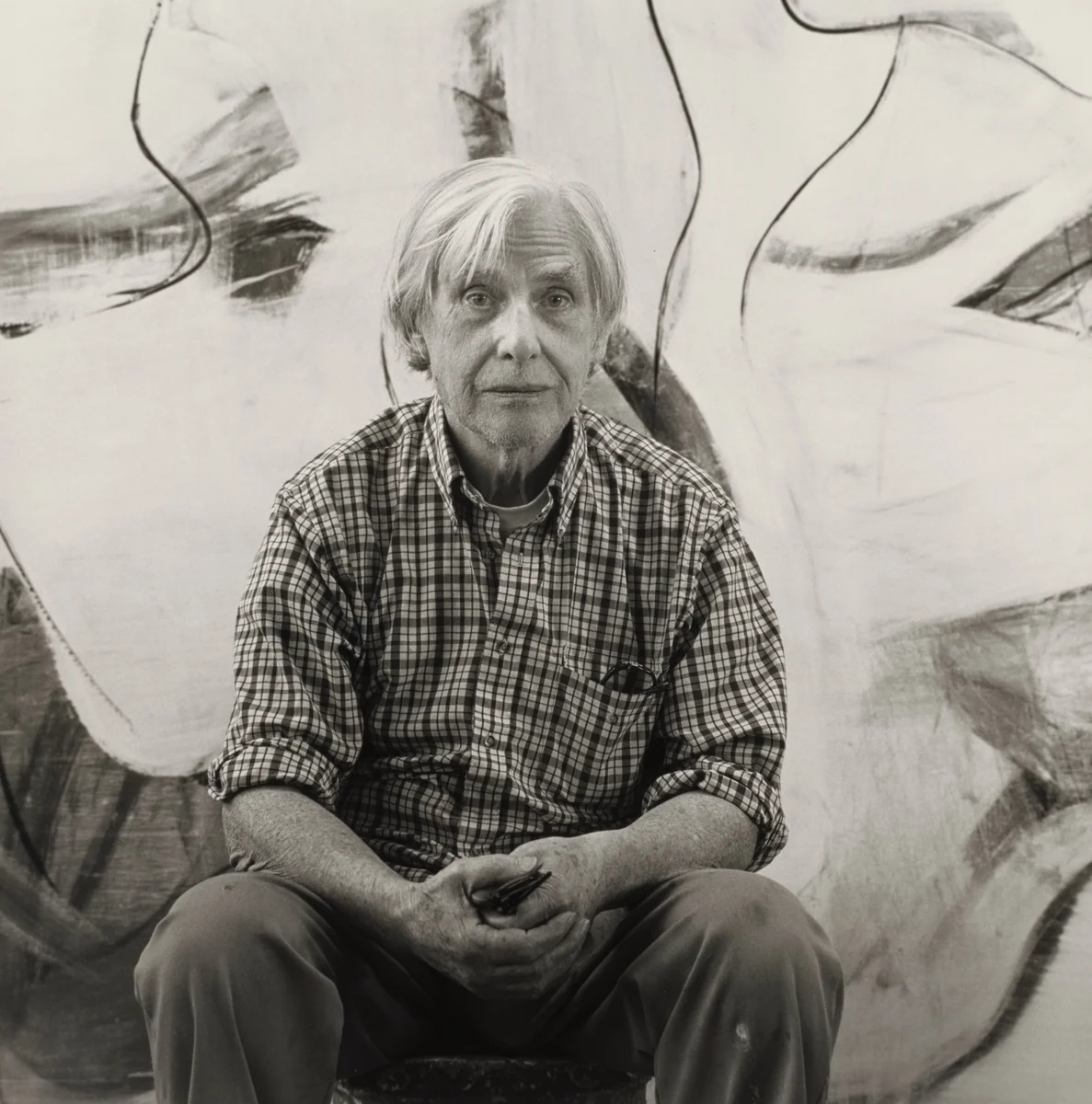 Willem de Kooning, Painter, East Hampton by Mariana Cook, photograph, 1983