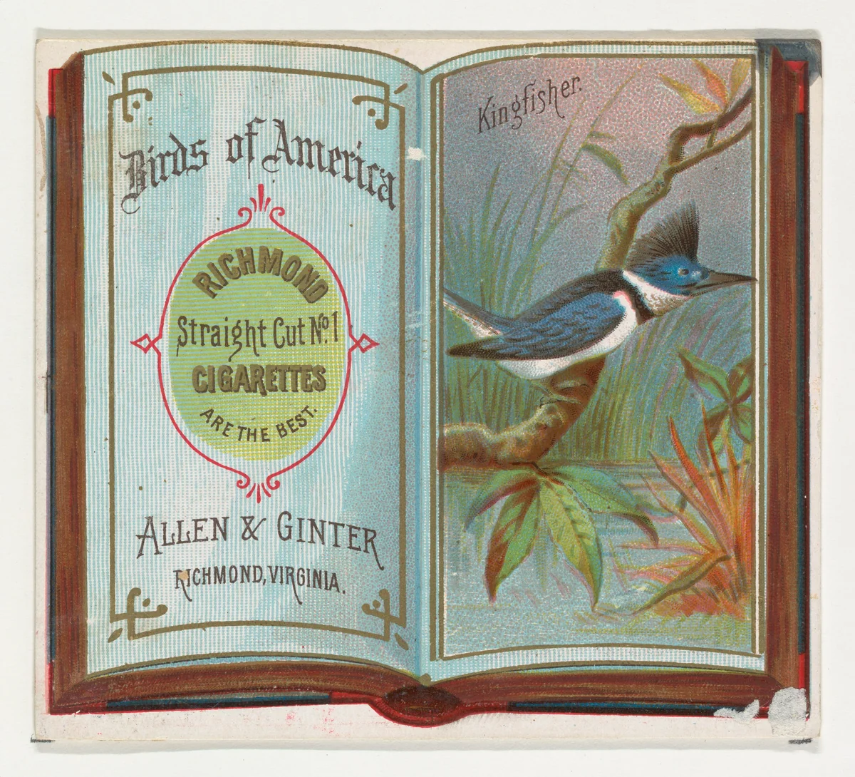 Kingfisher, from the Birds of America series (N37) for Allen & Ginter Cigarettes by Allen & Ginter, print, 1888