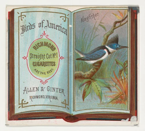 Kingfisher, from the Birds of America series (N37) for Allen & Ginter Cigarettes by Allen & Ginter, print, 1888