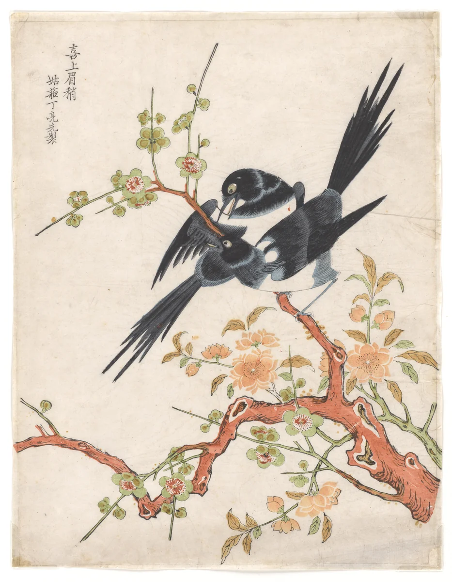 Magpies by Ding Liangxian, print, 1736-1795