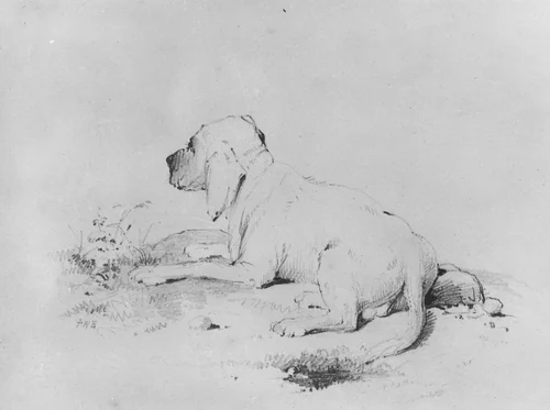 Dog (from McGuire Scrapbook) by Francis William Edmonds, artwork, 1806-1863