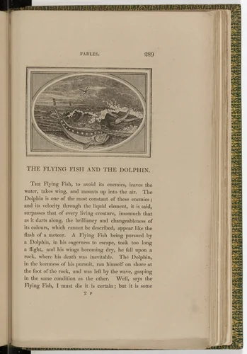 Headpiece (page 289) from The Fables of Aesop by Thomas Bewick, illustrated book, 1818