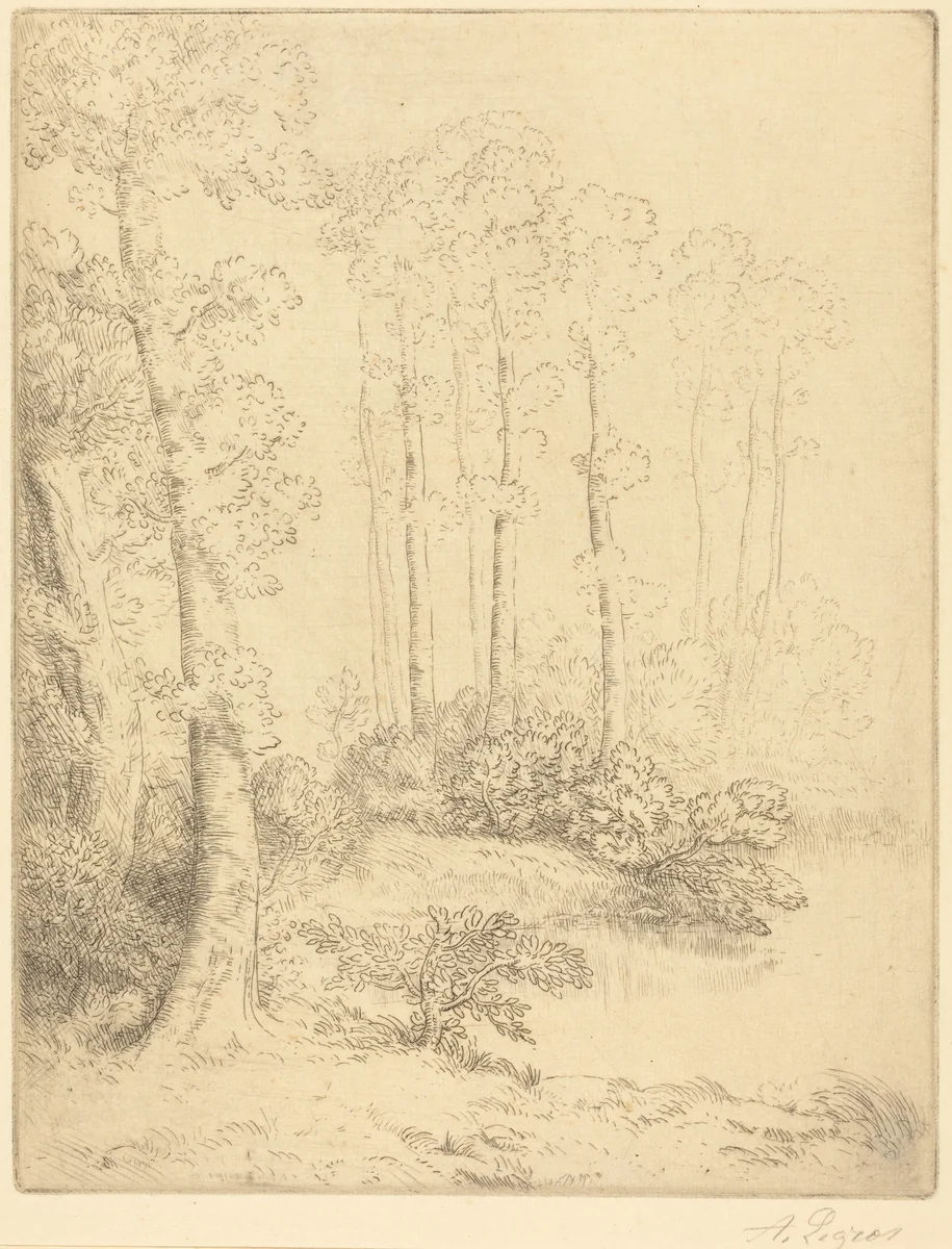 Edge of the Water (Au bord de l'eau) by Alphonse Legros, print, 1837-1911