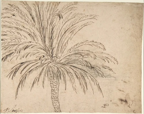 Study of a Palm Tree (recto); Mountain Landscape (verso) by Nicolas Poussin, drawing, 1630-1645