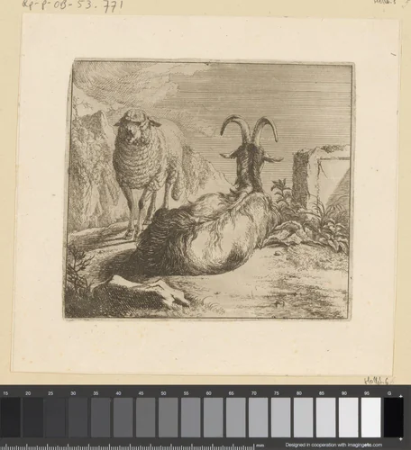 Liggende geit en staand schaap by Johann Heinrich Roos, print, 1671