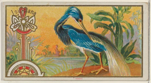 Louisiana Heron, from the Game Birds series (N13) for Allen & Ginter Cigarettes Brands by Allen & Ginter, print, 1889