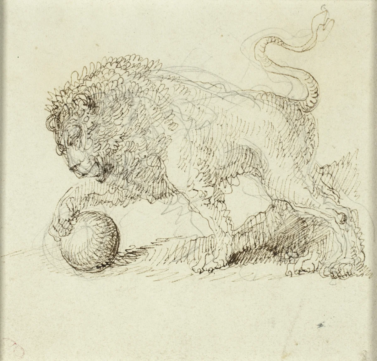 Lion with Ball by Giuseppe Bernardino Bison, drawing, 1782-1844