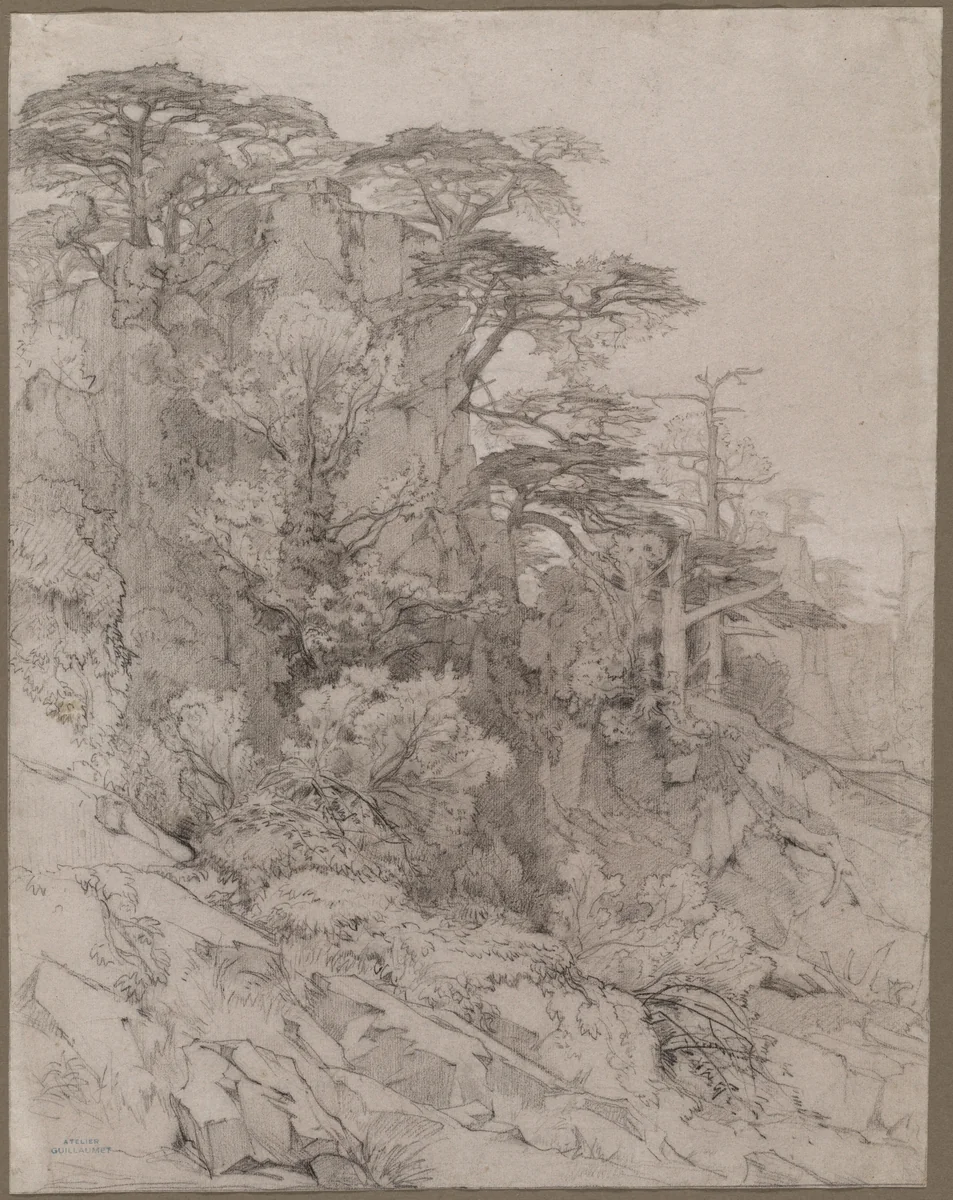 Trees of a Rocky Hillside by Gustave Achille Guillaumet, drawing, 1840-1887