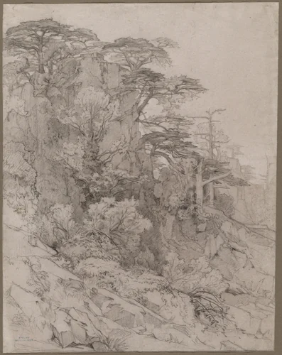 Trees of a Rocky Hillside by Gustave Achille Guillaumet, drawing, 1840-1887