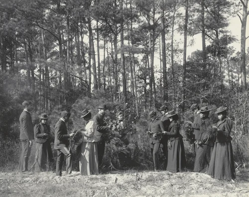 Agriculture. Plant life. Study of plants or a "plant society" by Frances Benjamin Johnston, photograph, 1899