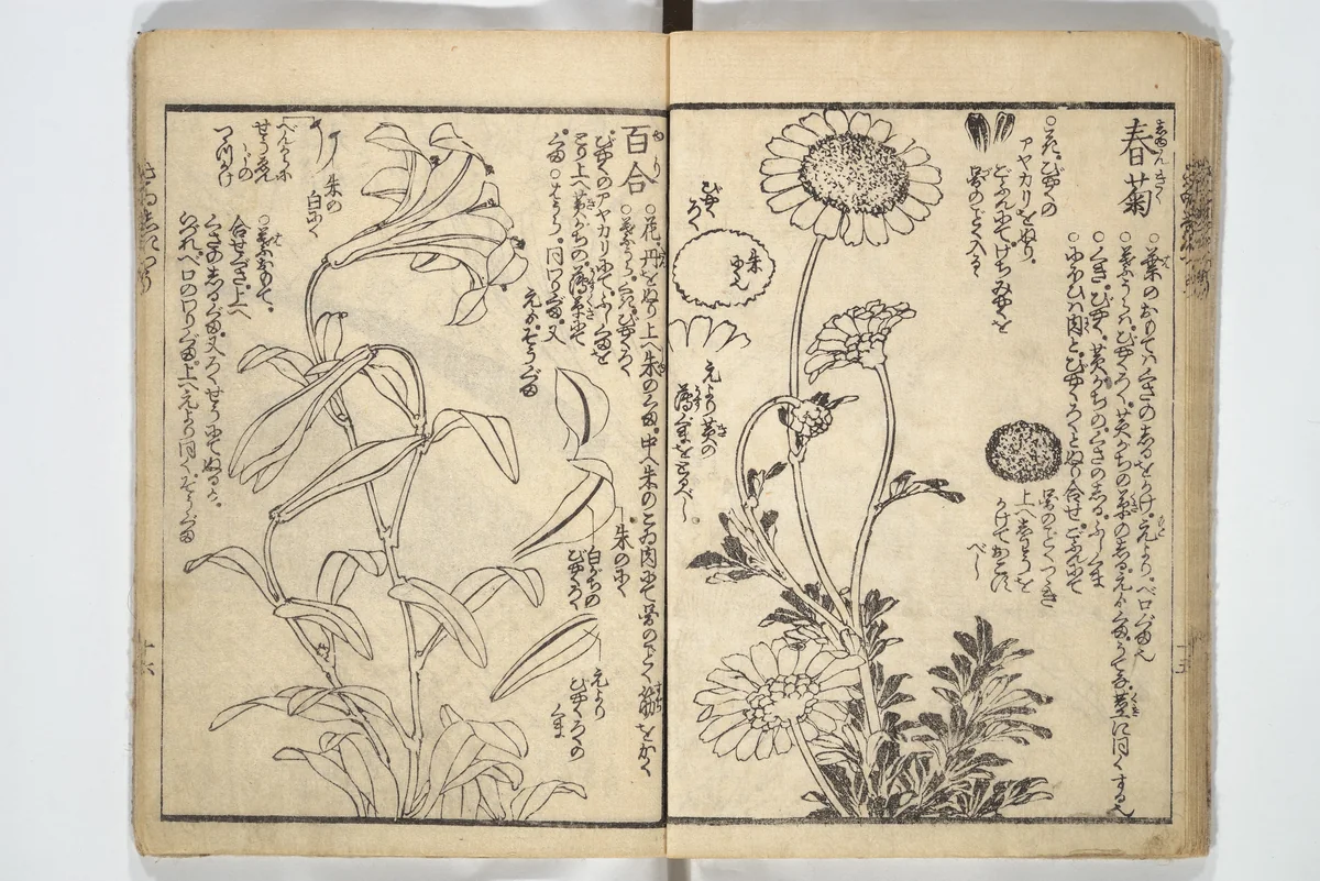 Picture Book on the Use of Coloring, first volume (Ehon saishikitsū shohen) 繪本彩色通 初編 by Katsushika Hokusai (葛飾 北斎), book, 1848