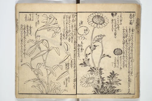 Picture Book on the Use of Coloring, first volume (Ehon saishikitsū shohen) 繪本彩色通 初編 by Katsushika Hokusai (葛飾 北斎), book, 1848