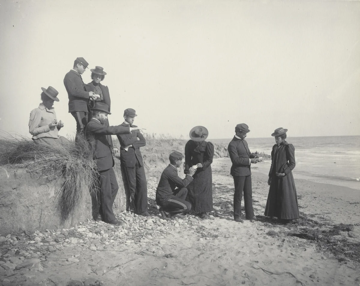Agriculture. Studying the soil at the beach, or formation of soil by active water by Frances Benjamin Johnston, photograph, 1899