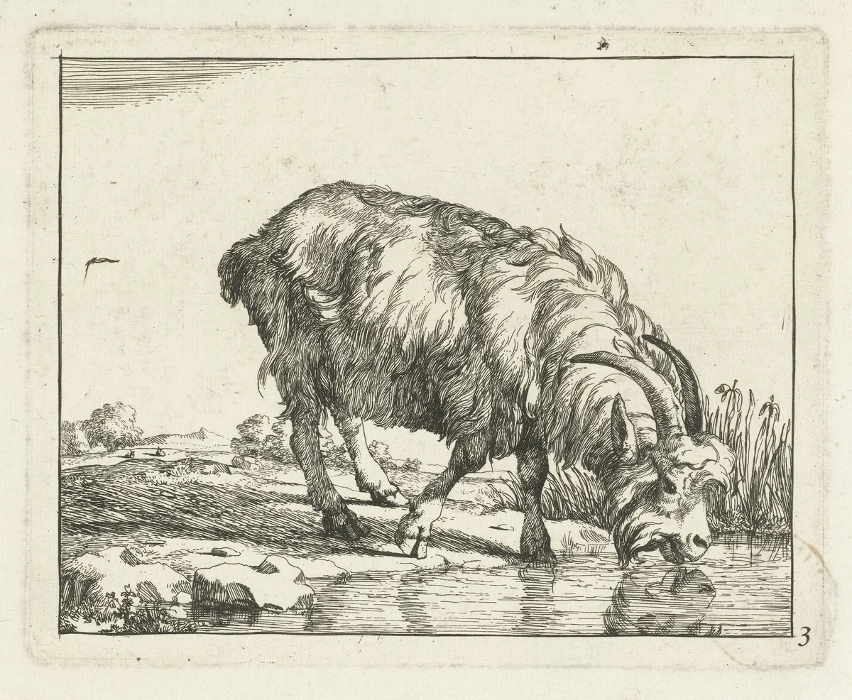 Drinkende bok by Marcus de Bye, print, 1657-1677