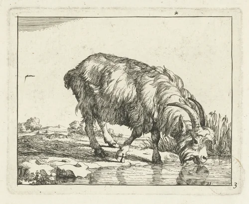 Drinkende bok by Marcus de Bye, print, 1657-1677