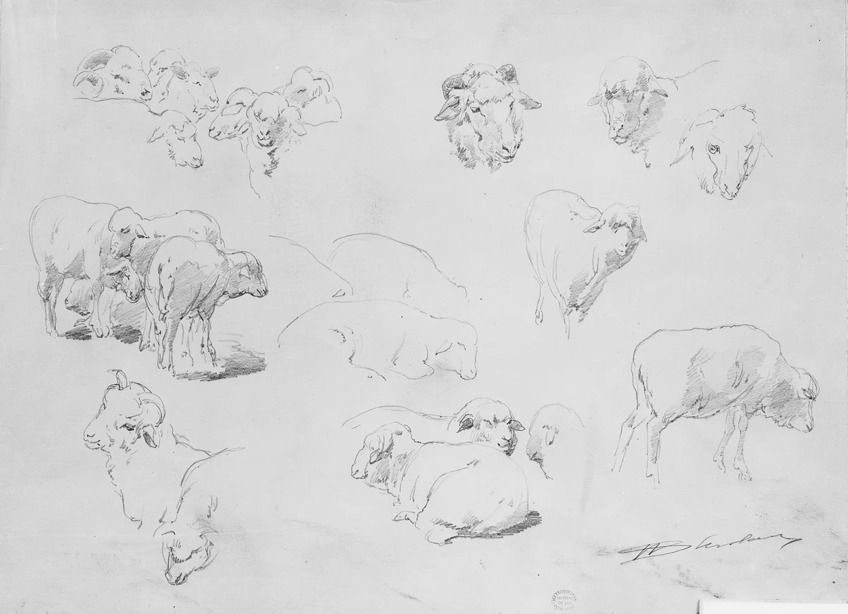 Studies of Sheep by Walter Shirlaw, artwork, 1838-1909