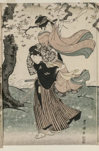 Cherry Blossoms in the Wind by Utagawa Toyokuni, print, 1796-1799