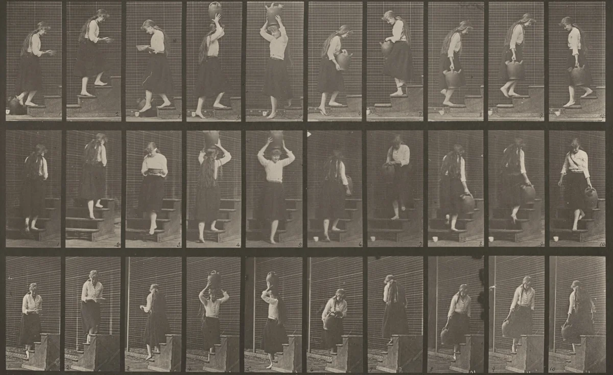 Plate Number 504. Ascending and descending stairs by Eadweard Muybridge, photograph, 1887