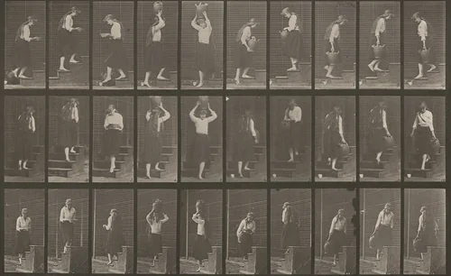 Plate Number 504. Ascending and descending stairs by Eadweard Muybridge, photograph, 1887