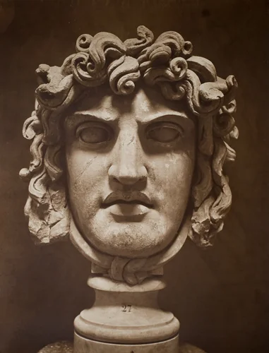 Mask of Medusa (Masque de Méduse) by Adolphe Braun, photograph, 1862