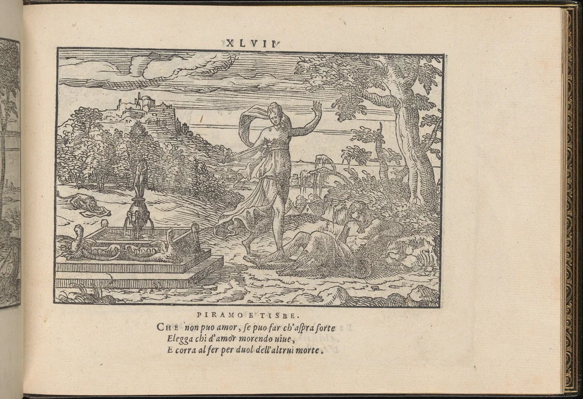 La Vera Perfettione del Disegno di varie sorti di recami, page 24 (recto) by Giovanni Ostaus, book, 1567