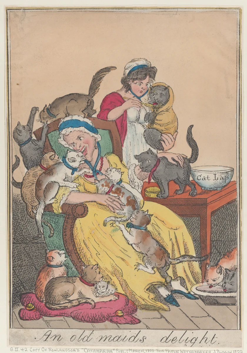 An Old Maid's Delight by Thomas Rowlandson, print, 1817-1827