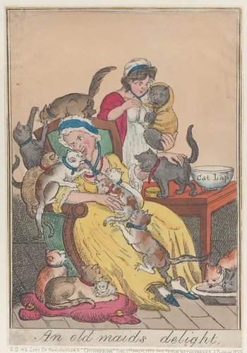 An Old Maid's Delight by Thomas Rowlandson, print, 1817-1827