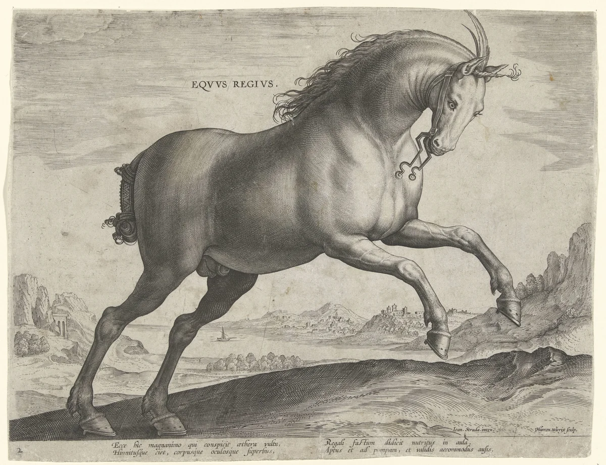 Paard van het ras Equus Regius (de Koninklijke) by Unknown, print, 1583-1587