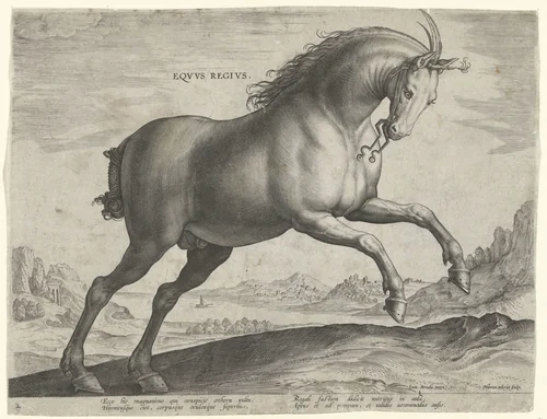 Paard van het ras Equus Regius (de Koninklijke) by Unknown, print, 1583-1587