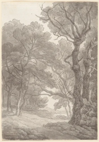 Trees at Fordland, Devon by John White Abbott, drawing, 1841