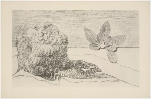 Fields of Honor, Flood, Seismic Plants (Les Champs d'honneur, les inondations, les plantes sismiques) from Natural History (Histoire naturelle) by Max Ernst, print, 1925