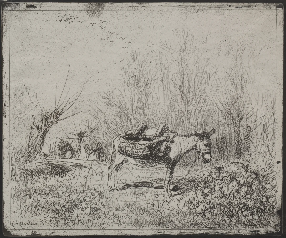 A Donkey in the Field by Charles-François Daubigny, print, 1921