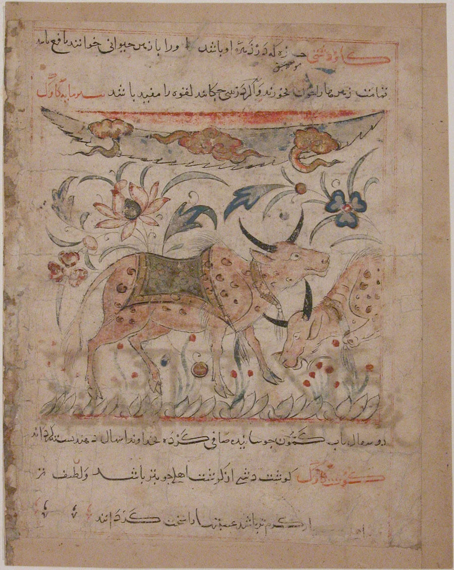 "Oxen amongst Foliage", Folio from a Manafi' al-Hayawan (On the Usefulness of Animals) of Ibn Bakhtishu' by Ibn Bakhtishu', manuscript, 1273-1324