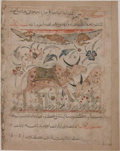 "Oxen amongst Foliage", Folio from a Manafi' al-Hayawan (On the Usefulness of Animals) of Ibn Bakhtishu' by Ibn Bakhtishu', manuscript, 1273-1324