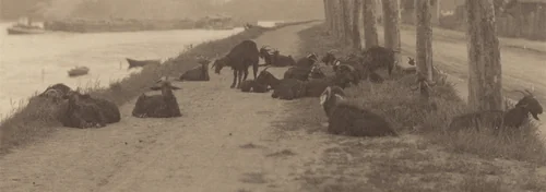 On the Seine by Alfred Stieglitz, photograph, 1894