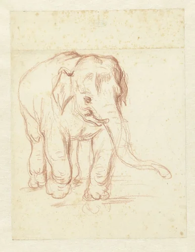 Lopende olifant by Petrus Camper, drawing, 1732-1789