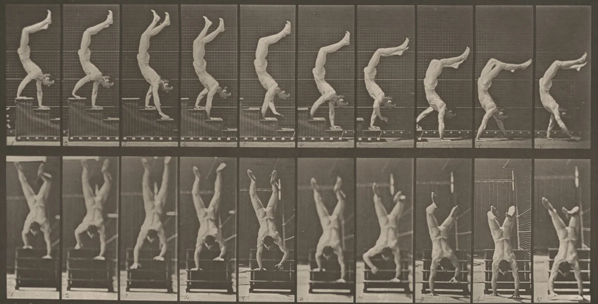 Plate Number 368. Acrobat descending stairs on hands by Eadweard Muybridge, photograph, 1887