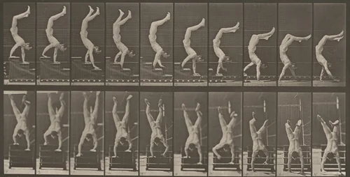 Plate Number 368. Acrobat descending stairs on hands by Eadweard Muybridge, photograph, 1887