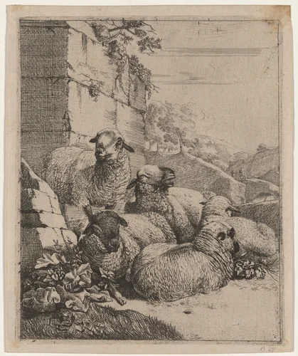 Flock of Sheep Resting by Johann Heinrich Roos, print, 1668-1670