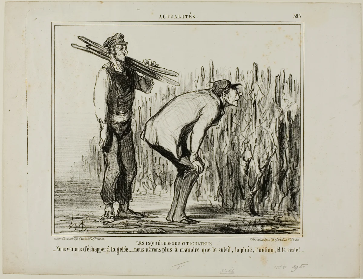 The Worries of a Wine Grower. “- We escaped the frost..... all we now have to worry about is the sun, the rain, the vine-mildew and all the rest...,” plate 397 from Actualités by Honoré-Victorin Daumier, print, 1857