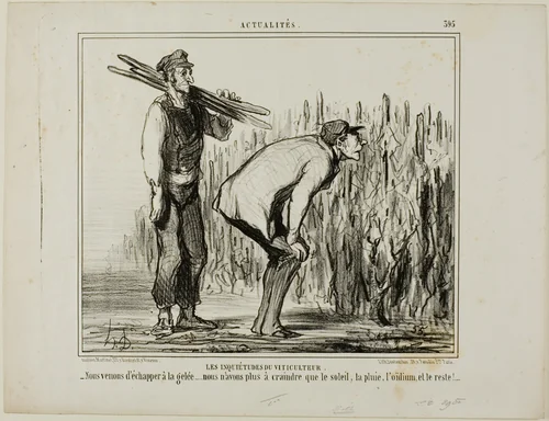 The Worries of a Wine Grower. “- We escaped the frost..... all we now have to worry about is the sun, the rain, the vine-mildew and all the rest...,” plate 397 from Actualités by Honoré-Victorin Daumier, print, 1857