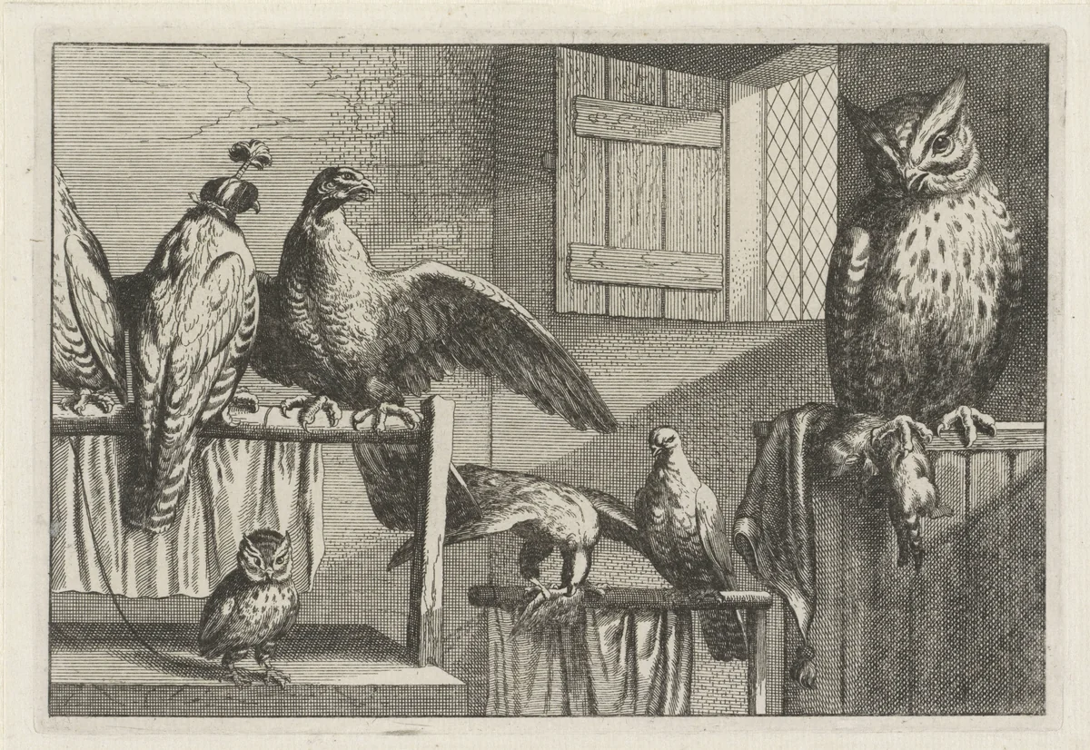 Uilen, valken of haviken by Wenceslaus Hollar, print, 1662