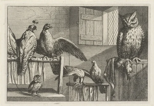 Uilen, valken of haviken by Wenceslaus Hollar, print, 1662