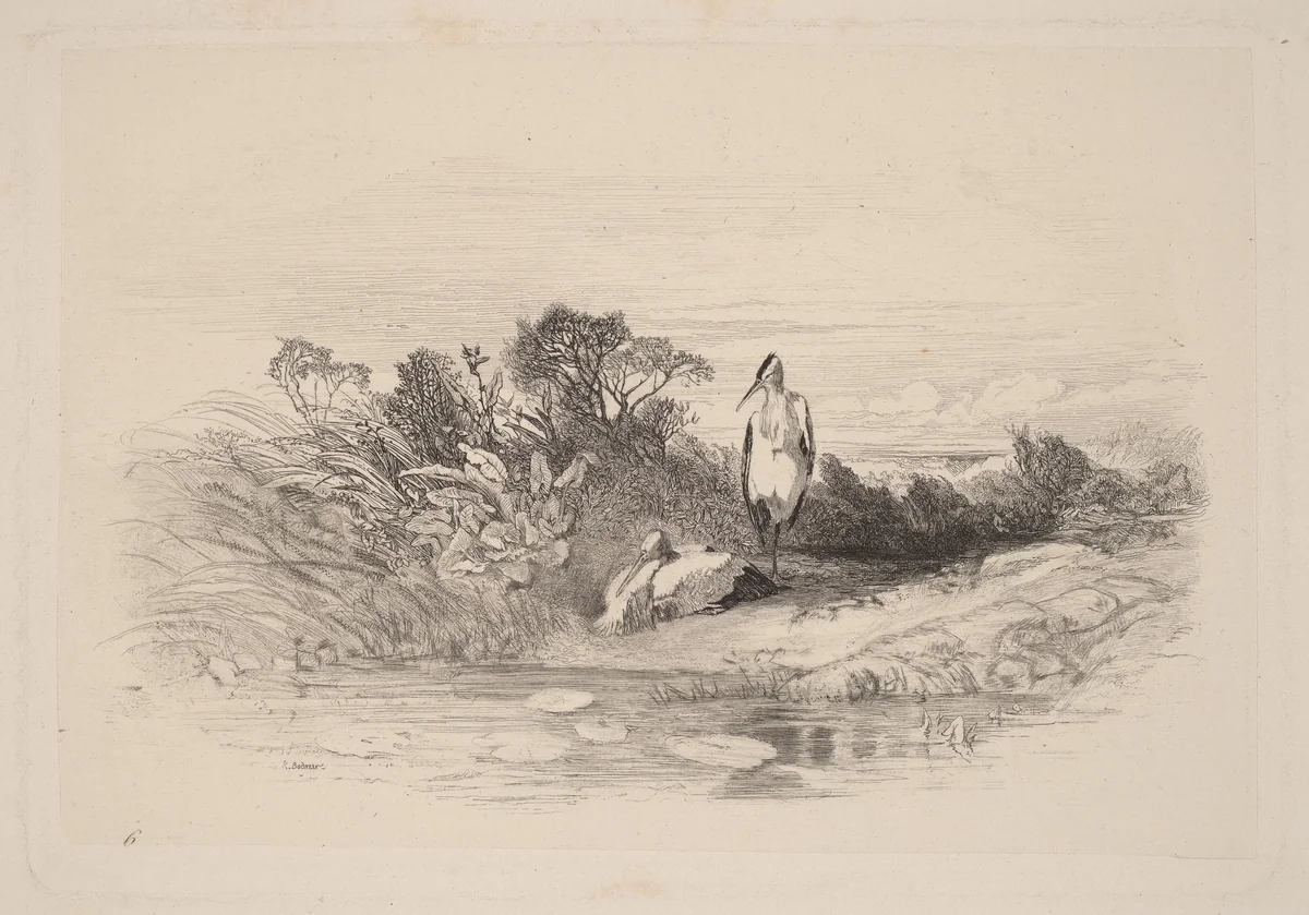 Les Deux Herons by Karl Bodmer, print, 1809-1893