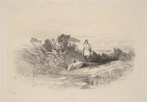 Les Deux Herons by Karl Bodmer, print, 1809-1893